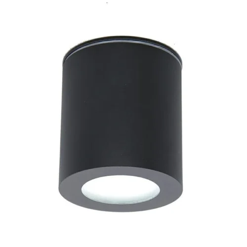 Kúpelňové vodeodolné svietidlo Neptun 1xGU10, čierna