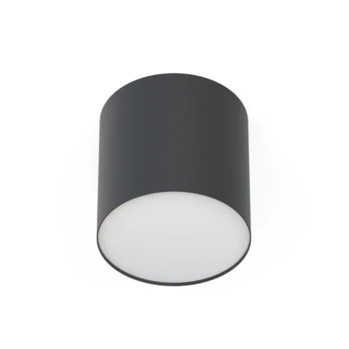 Kúpelňové vodeodolné svietidlo Nowodvorski 1xGU10, čierna
